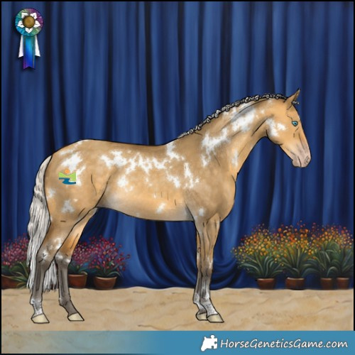 Horse Color:Gray White Spotted Silver Amber Cream Champagne Dun Appaloosa Rabicano