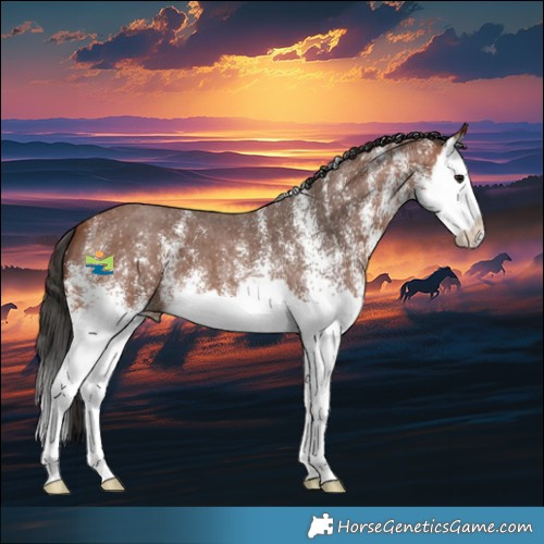 Horse Color:White Spotted Bay Splash 