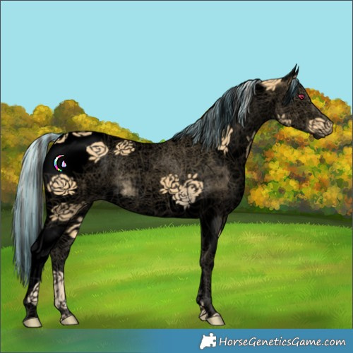 Horse Color:Void Painted White Spotted Palomino Splash Tobiano 