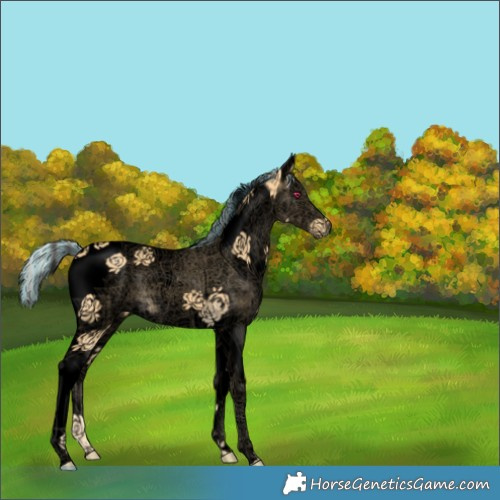 Horse Color:Void Painted White Spotted Palomino Splash Tobiano 