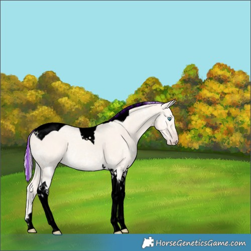 Horse Color:Void Painted Silver Amber Cream Champagne Ice Tobiano 
