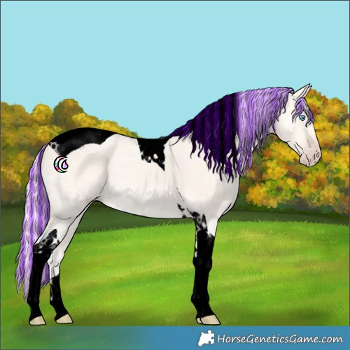 Horse Color:Void Painted Silver Amber Cream Champagne Ice Tobiano 