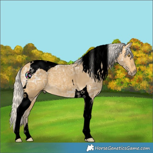 Horse Color:Void Silver Buckskin Ice Tobiano