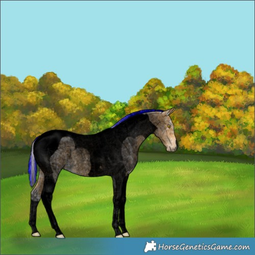 Horse Color:Void Painted Silver Buckskin Ice Roan Tobiano 