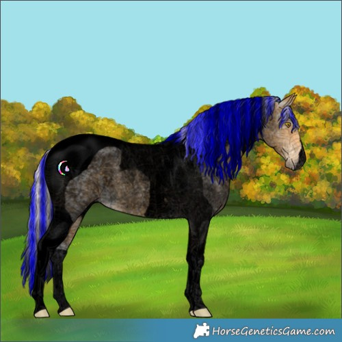 Horse Color:Void Painted Silver Buckskin Ice Roan Tobiano 