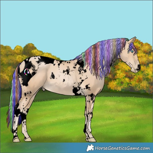 Horse Color:Void Painted Palomino Pearl Tobiano