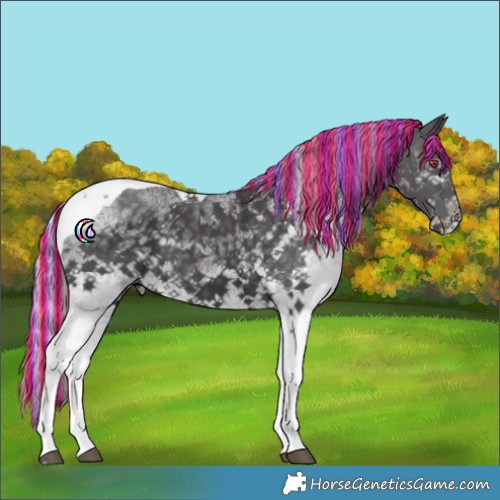 Horse Color:Painted White Spotted Silver Smoky Black Chinchilla Tobiano 