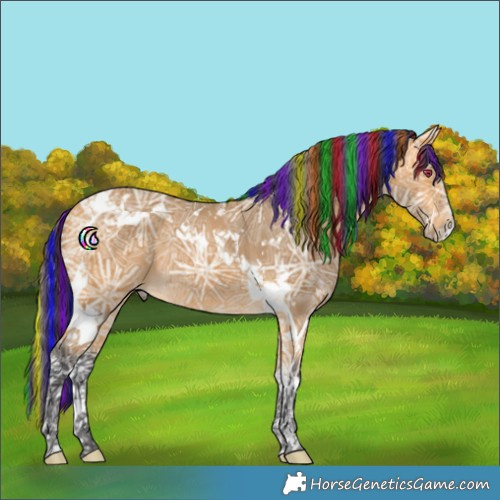 Horse Color:Painted Buckskin Ice Tobiano