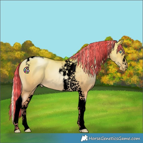 Horse Color:Void Painted Silver Buckskin Pearl Dun Tobiano