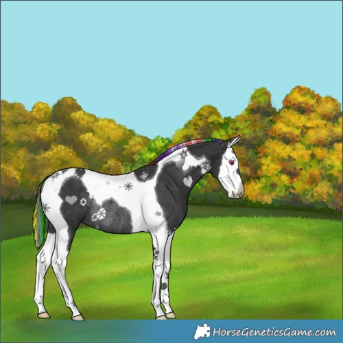 Horse Color:Painted Black Splash Tobiano Rabicano 
