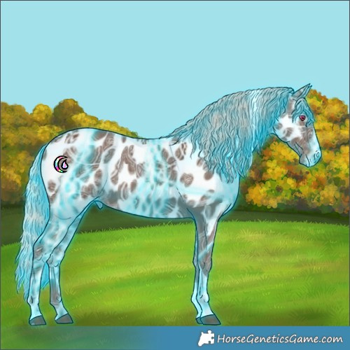 Horse Color:Thunderstruck Silver Black Ice Tobiano Appaloosa