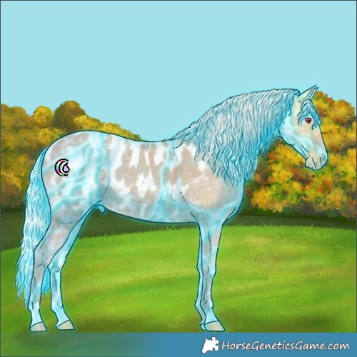 Horse Color:Thunderstruck Silver Classic Champagne Ice Appaloosa