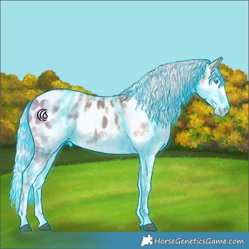Horse Color:Thunderstruck Silver Bay Ice Splash Tobiano Appaloosa Rabicano 