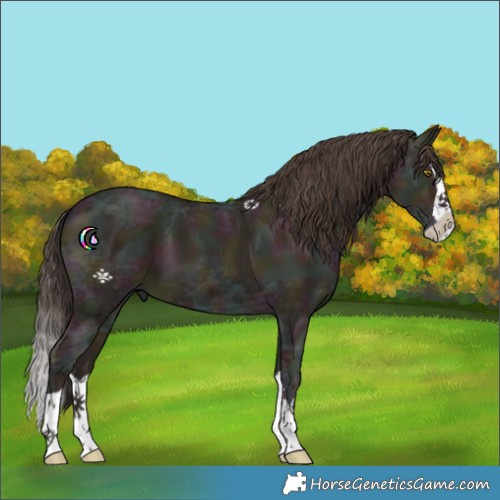Horse Color:Midnight Classic Champagne Ice Splash 