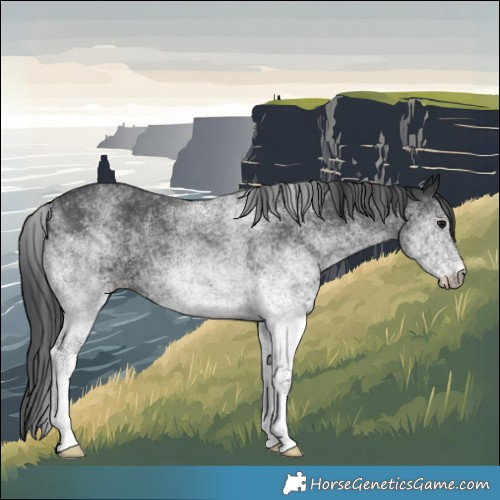 Horse Color:White Spotted Black