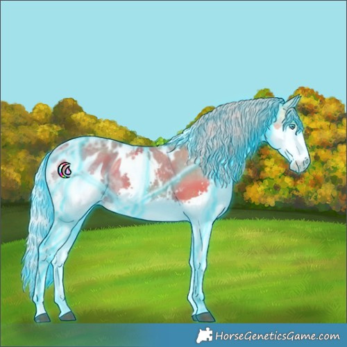 Horse Color:Thunderstruck Silver Black Ice Splash Tobiano Appaloosa 