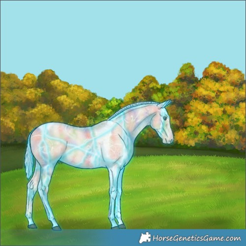 Horse Color:Nacre Thunderstruck Silver Black Ice Snowdrop Pearl Tobiano 