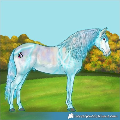 Horse Color:Nacre Thunderstruck Silver Black Ice Snowdrop Pearl Splash Tobiano 