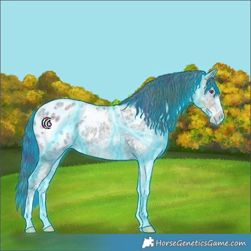 Horse Color:Nacre Thunderstruck White Spotted Brown Ice Appaloosa 
