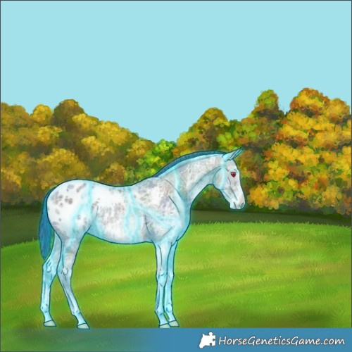 Horse Color:Nacre Thunderstruck White Spotted Brown Ice Appaloosa 