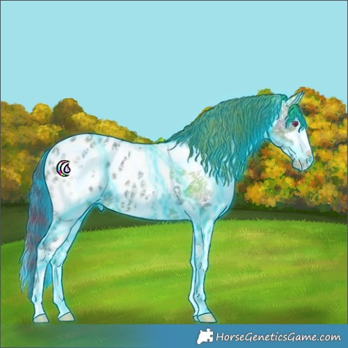 Horse Color:Nacre Thunderstruck Brown Ice Splash Tobiano Appaloosa 