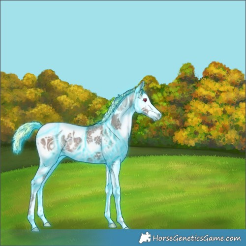 Horse Color:Painted Thunderstruck Silver Black Ice Splash Tobiano Appaloosa 