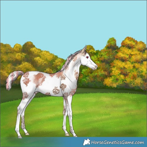 Horse Color:Painted White Spotted Silver Black Ice Splash Tobiano 