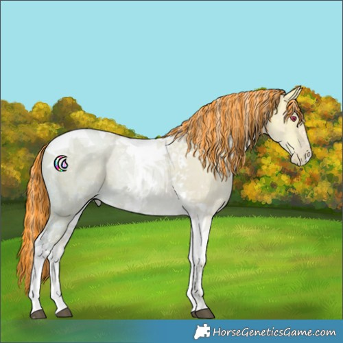 Horse Color:Painted Silver Grullo Ice Snowdrop Pearl Tobiano 