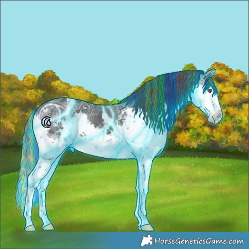 Horse Color:Painted Thunderstruck Black Ice Splash Tobiano Rabicano 
