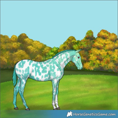 Horse Color:Watercolor Black Ice Tobiano Appaloosa Rabicano