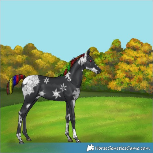 Horse Color:Painted Black Ice Tobiano Rabicano 