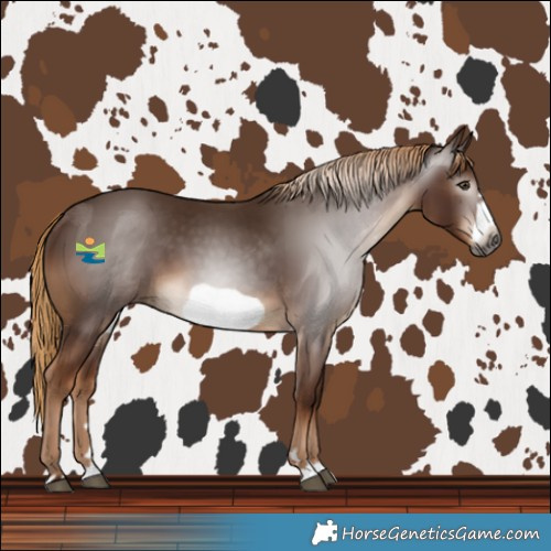 Horse Color:Gray Chestnut Frame 