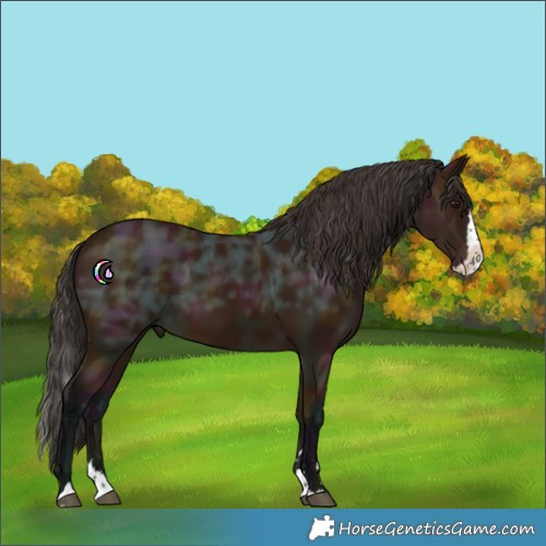 Horse Color:Midnight Bay Ice Splash 