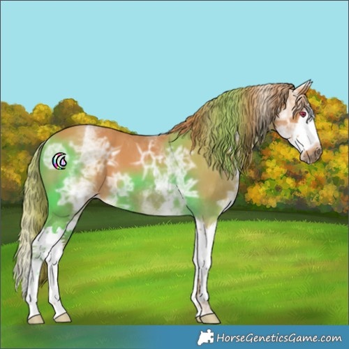 Horse Color:White Spotted Chestnut Ice Splash 