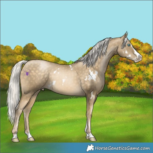 Horse Color:White Spotted Silver Buckskin Pearl Splash Tobiano 