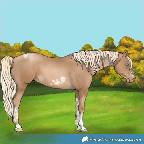 Horse Color:Chocolate Palomino Pearl Tobiano Frame  and Chocolate Palomino Pearl Tobiano Frame 