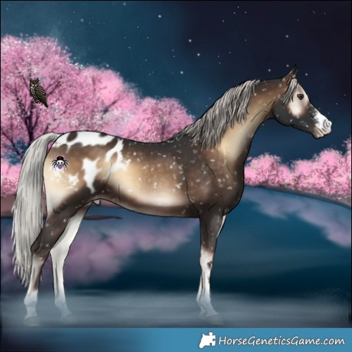 Horse Color:Silver Brown Onyx Sabino Blanket