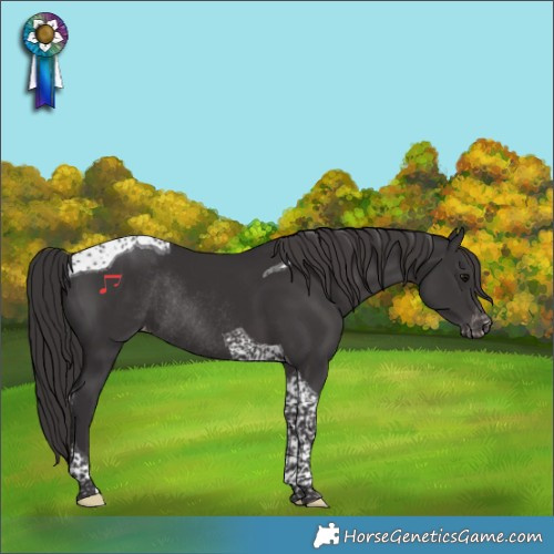 Horse Color:Smoky Black Tobiano Varnish Rabicano