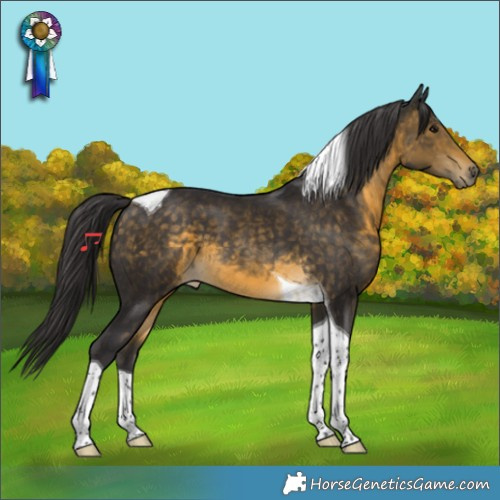 Horse Color:Buckskin Tobiano 