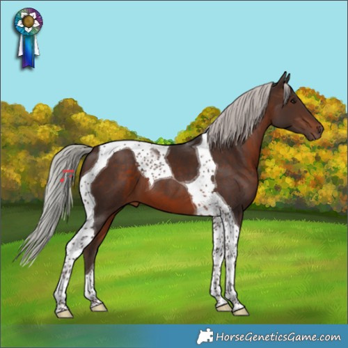 Horse Color:Silver Bay Tobiano 