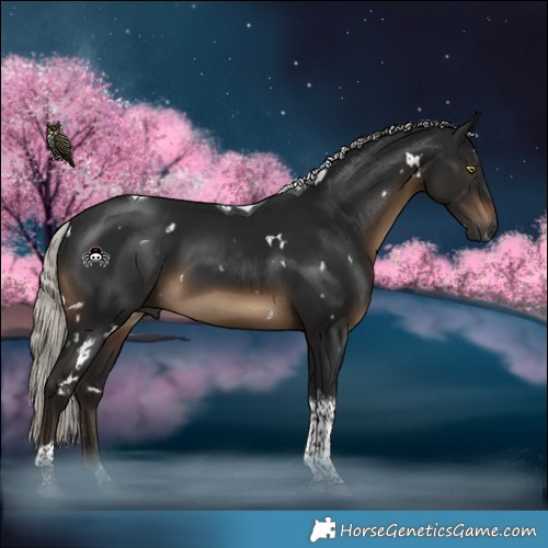 Horse Color:Gray White Spotted Silver Brown Tobiano 