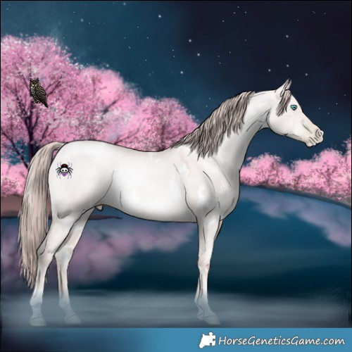 Horse Color:Platinum White Spotted Gold Champagne Pearl Dun
