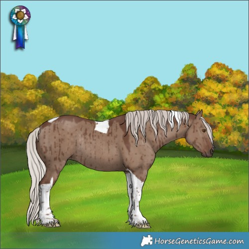 Horse Color:Silver Grullo Tobiano Rabicano Brindle 