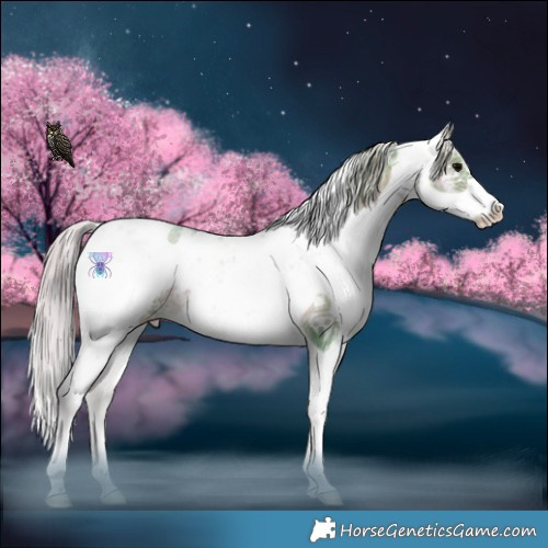 Horse Color:Watercolor Silver Brown Ice Onyx Sabino Appaloosa 