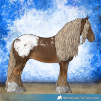 Horse Color:Chocolate Palomino Tobiano Snowcap