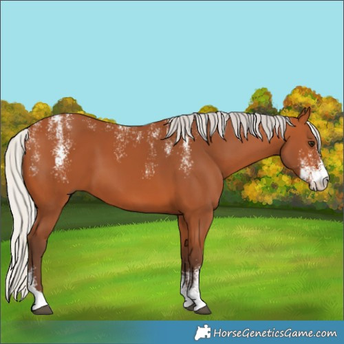 Horse Color:Powder White Silver Bay