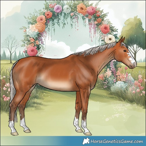 Horse Color:Silver Bay 