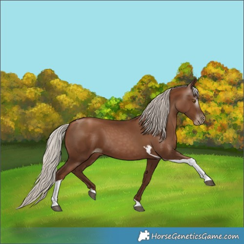 Horse Color:Gray Silver Black Pearl Tobiano