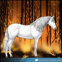 Horse Color:Pseudo Buckskin Harlequin Merle 