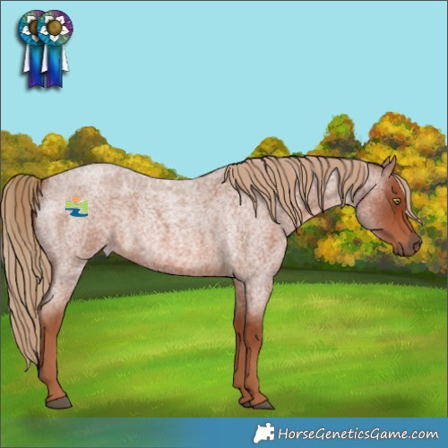 Horse Color:Red Roan 